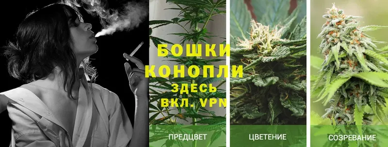 Шишки марихуана SATIVA & INDICA  Апатиты 